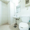 파레스빌 이미지