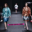 에이치에스콜렉션 이미지