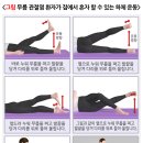 애룰바디 이미지