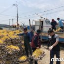 공단황금어장