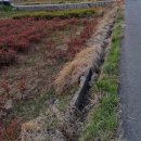 탄탄대로공인중개사사무소 이미지