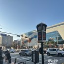 이삭바지방 | 유니클로 감사제 전에 구매할것들 임산부추천템