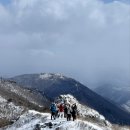 (주)지금 | [공지] 2월 첫째 주, 페플셔틀 후기