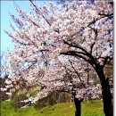 부곡공원 이미지