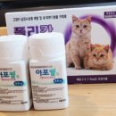 정자역약국 이미지