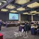 폴리트 이미지