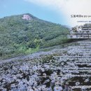 대장금마실길(1코스) 이미지