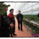 영빈농장 이미지