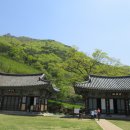 표충사 - 1903 | 표충사