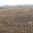 달천동사무소 이미지