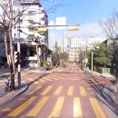 스쿨존 불법주정차 (6대금지구역, 과태료, 안전신문고)