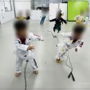 엘리트태권도장 이미지