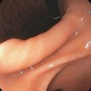 데일리연합의원 이미지