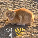 갓구워낸빵 티스토리