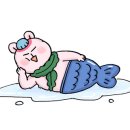 참치말자 이미지