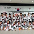한국체대 효자효녀 태권도 이미지