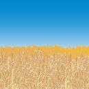 유)대동건설 이미지