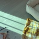 몽이네쉼터 이미지