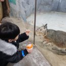 대전아쿠아리움 이미지