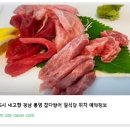 욕지도요참치