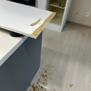 옥정 이편한세상더퍼스트 훼손된 (강아지소변) 냉장고장 리폼