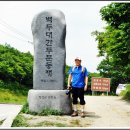피제 이미지