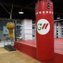 태풍 체육관 이미지