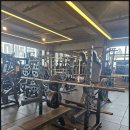 크라운짐 | 헬스 입문자부터 고중량까지 가능한 마송헬스 크라운짐 후기