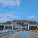 부귀 메타세쿼이아길 이미지