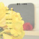 풀꽃 이미지