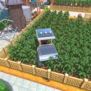 영창농장 이미지