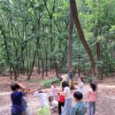 신방학초교 뒤 이미지