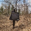 국사봉 누리길 이미지