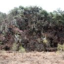 삼가리 농장 이미지