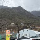 동물원풍선5번집 | 양산 원동 미나리 삼겹살 5번집 후기