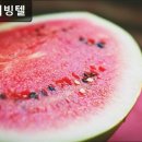 한신리빙텔