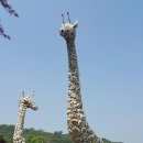 용도수목원 Daum카페
