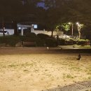 암산어린이공원 네이버블로그