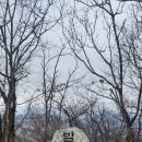 철렵