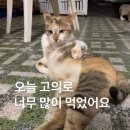 중국집 본점