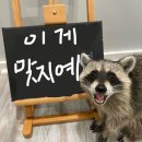 김밥나라신방점 | 먹고 놀기만 하고 싶어요
