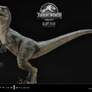 베이비 프라임 이미지