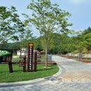 옥화자연휴양림 이미지