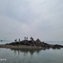 안산-대부-대부-4 이미지