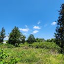 서광리-10 이미지