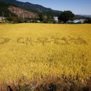 반여종합사회복지관 이미지