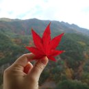강릉정동진레일바이크 이미지