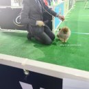 No.1 POM 이미지