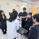 김지순애견미용학원 이미지