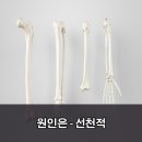 꿈꾸는한의원 이미지